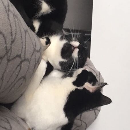 Leia und Mia