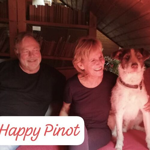 Pinot