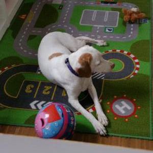 Happy End Milla, April 2015