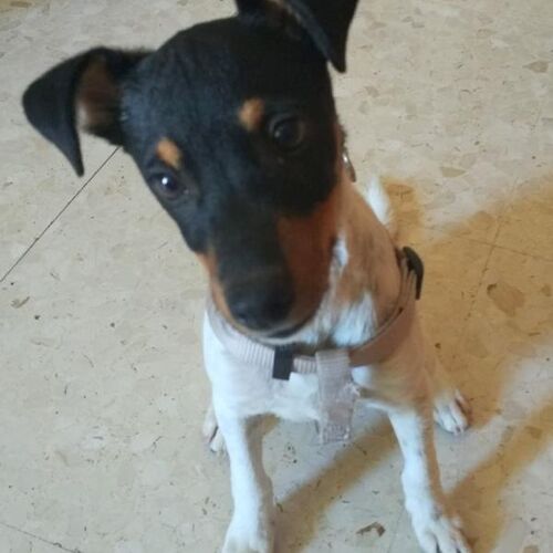 Aspito
