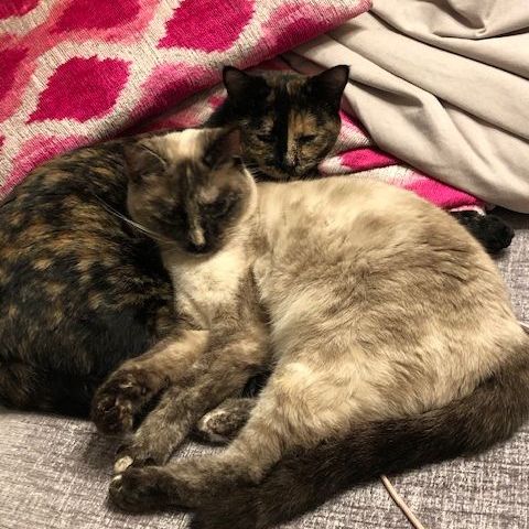 Cleo und Emma