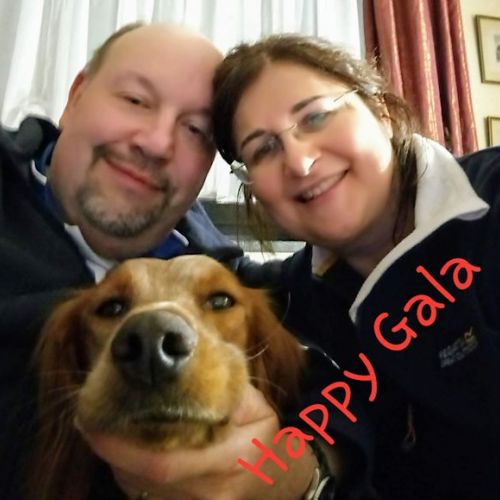 Gala