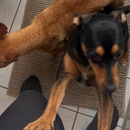 Milow