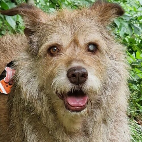 Lobito