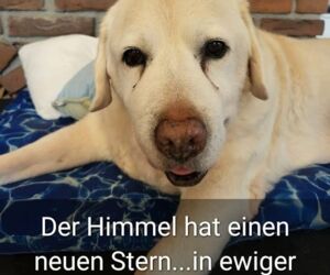 In Gedenken an Uska