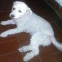 Happy End Fifi, September 2016