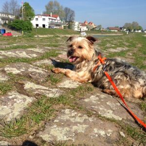 Happy Helga, April 2014