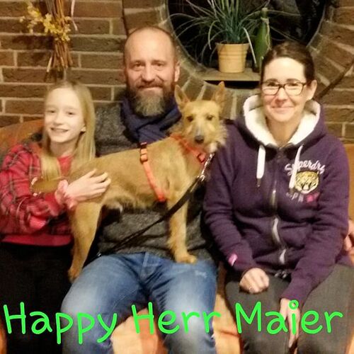 Herr Maier