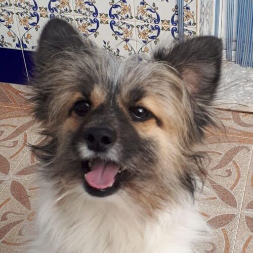 Coco