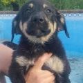 Happy End Dora, Juli 2017