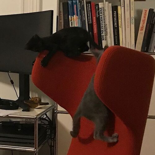 Pik und Puk