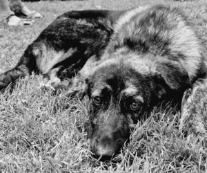 In Gedenken an Flynn