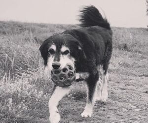 In Gedenken an Milow