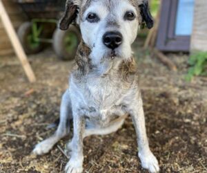 In Gedenken an Indra