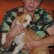Happy Paquito, Sept. 2014