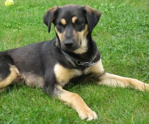 In Gedenken an Monty
