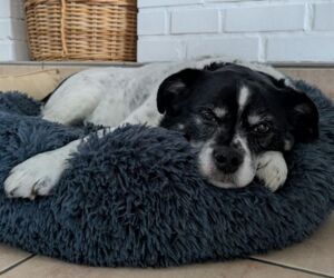 In Gedenken an Schröder