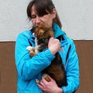 Happy End Charlotte, April 2016