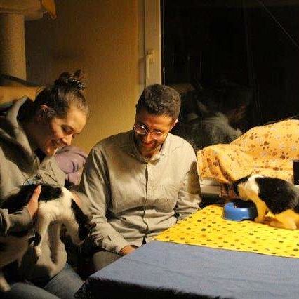 Silvestre+ Amora