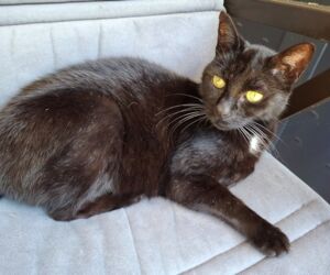 In Gedenken an Tammy