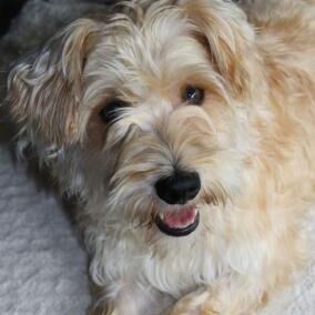 Happy Billy, Sept. 2012