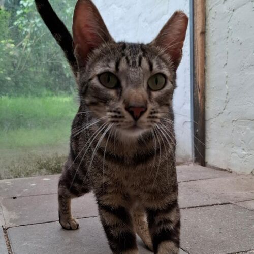 Eduardo