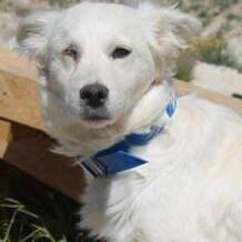 Dulce