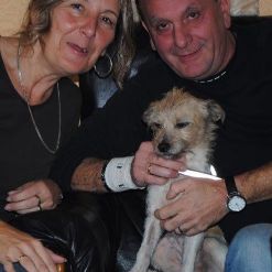 Happy Sheila, Nov. 2013