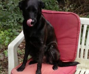 In Gedenken an Leila