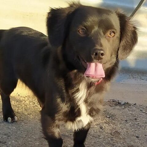 Nash