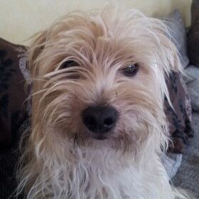 Happy Bobbi,  Nov. 2012