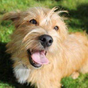 Happy Truffi, Aug. 2012