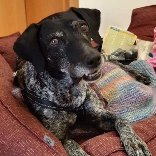 Amelia