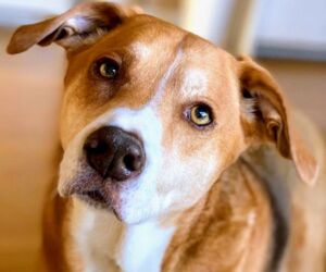 In Gedenken an Jordi