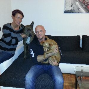 Happy Foxi, Jan. 2014