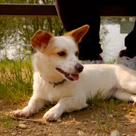 Happy Mari, jetzt Sunny, April 2014