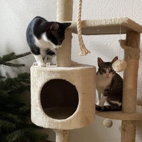 Popay und Angie