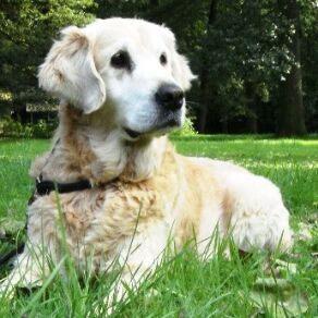 Happy Balu, Aug. 2014