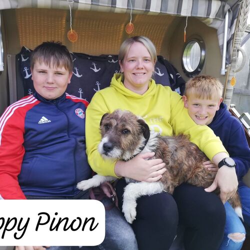 Pinon