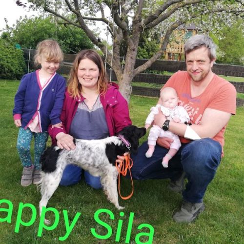 Sila