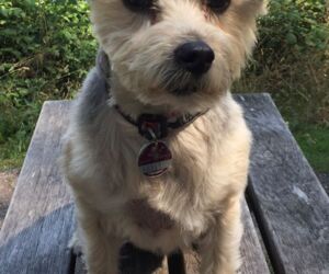 In Gedenken an Freddy