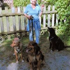 Happy End Silvie, September 2016