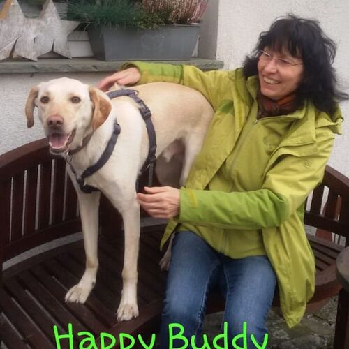 Buddy
