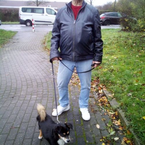 Nando - Nan