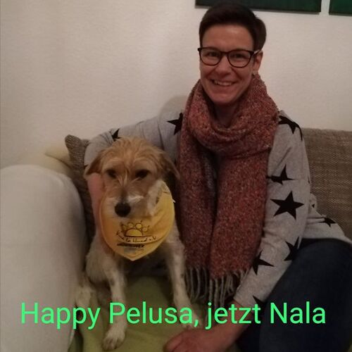 Pelusa