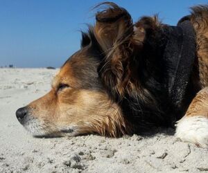 In Gedenken an Wilma