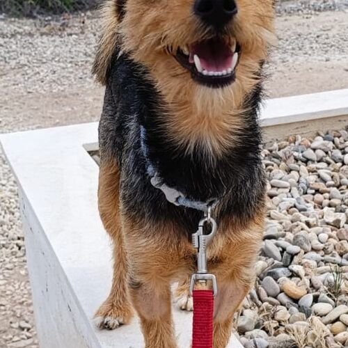 Coco