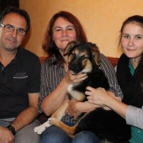 Happy End Gloria, November 2016