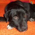 Happy Fenja, Juni 2014
