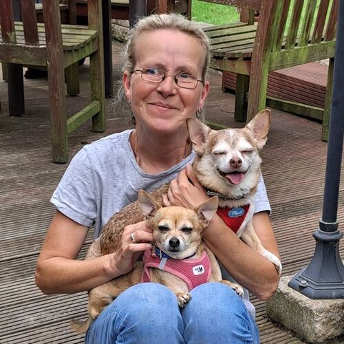 Joy+Petzi